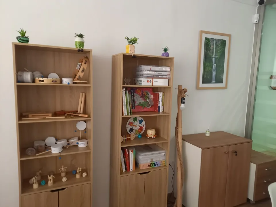 Estanterías con instrumentos de musicoterapia y libros del centro